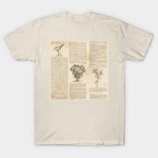 Vintage Botanist Illustrations Text Book Gothic Victorian Dark Academia Plant Lover Pattern T-Shirt